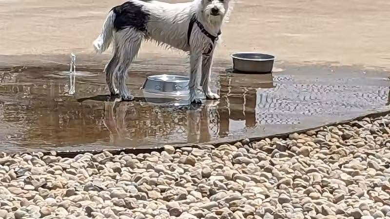Rocky Fork Metro Park - New Albany, OH