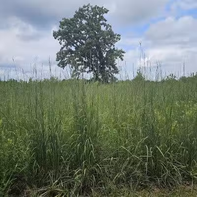 Rocky Fork Metro Park - New Albany, OH