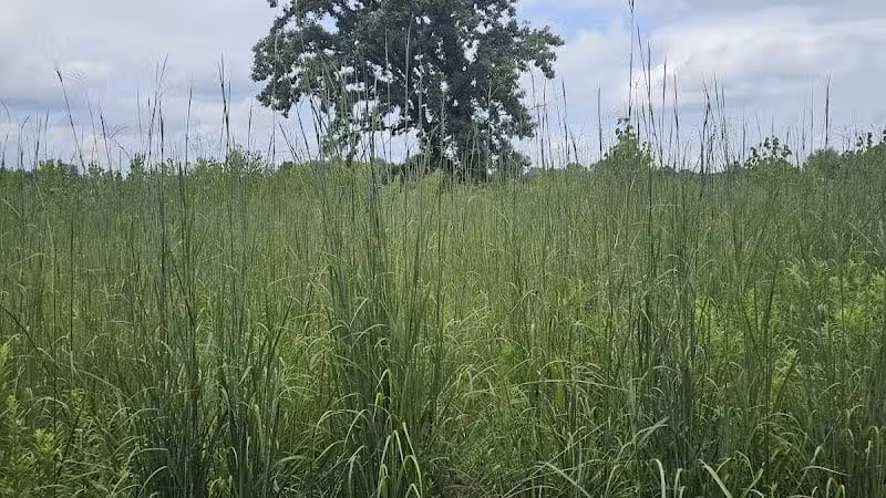 Rocky Fork Metro Park - New Albany, OH