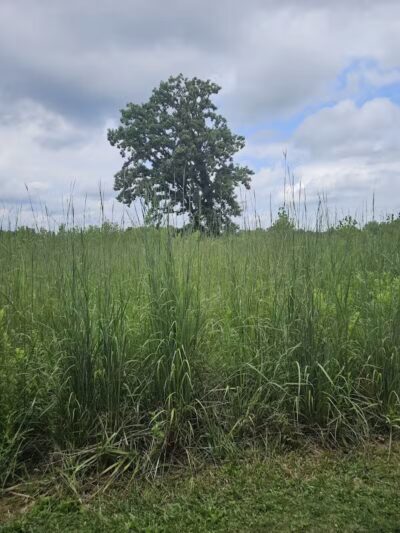 Rocky Fork Metro Park - New Albany, OH