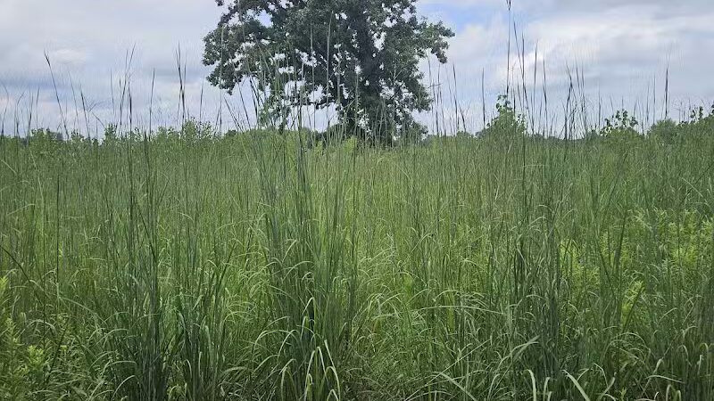 Rocky Fork Metro Park - New Albany, OH