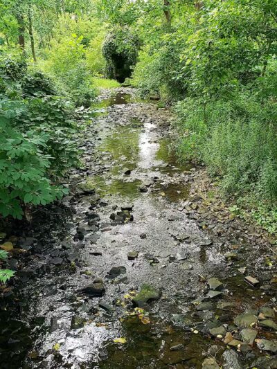 Rose Run Park - New Albany, OH