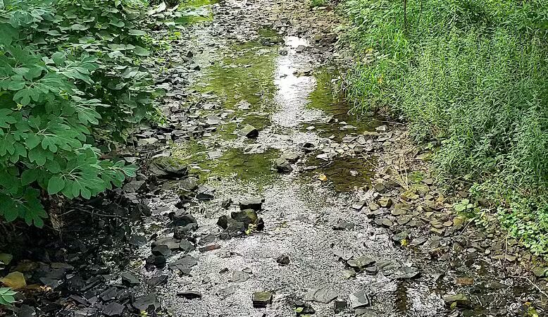 Rose Run Park - New Albany, OH