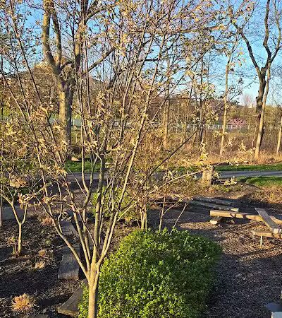 Rose Run Park - New Albany, OH