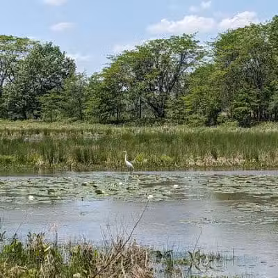 Taylor Farm Park - New Albany, OH