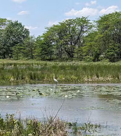Taylor Farm Park - New Albany, OH