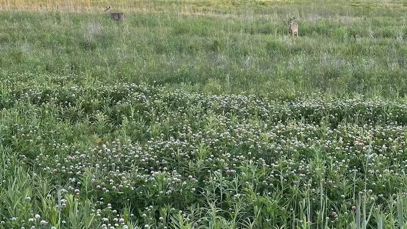 Taylor Farm Park - New Albany, OH