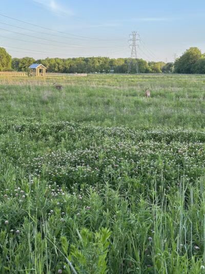Taylor Farm Park - New Albany, OH