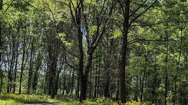 Taylor Farm Park - New Albany, OH