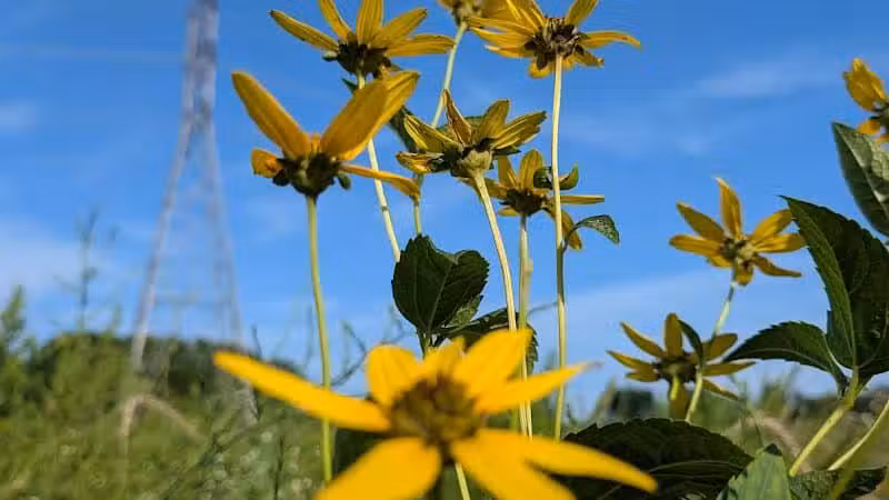 Taylor Farm Park - New Albany, OH