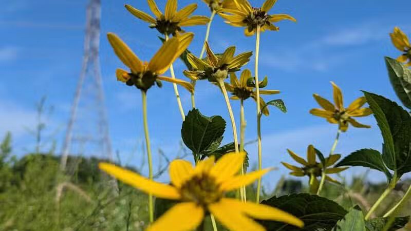 Taylor Farm Park - New Albany, OH