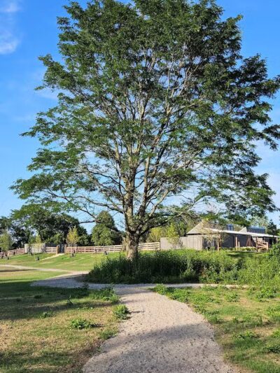 Taylor Farm Park - New Albany, OH
