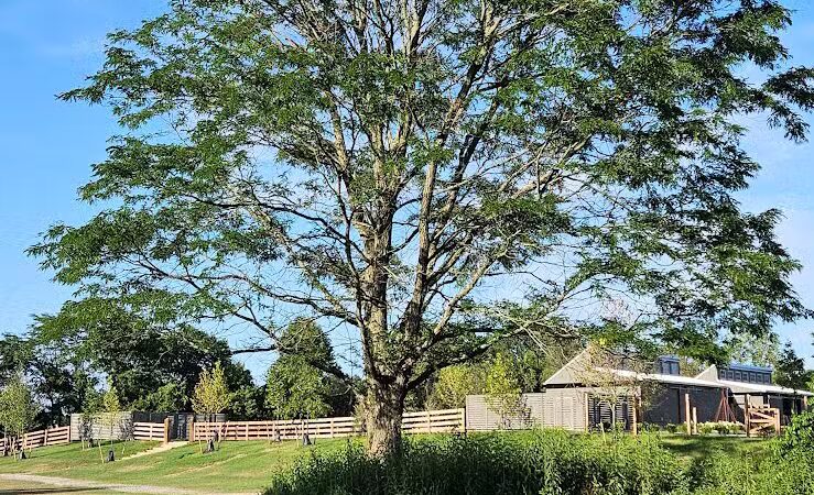 Taylor Farm Park - New Albany, OH