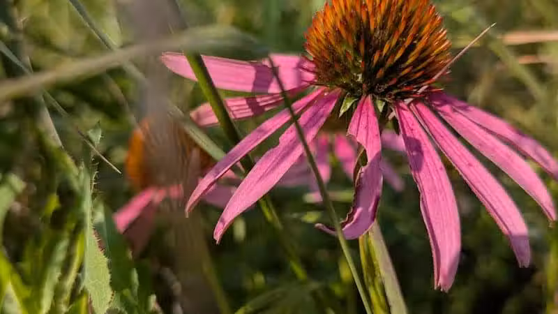 Taylor Farm Park - New Albany, OH