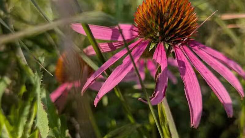 Taylor Farm Park - New Albany, OH