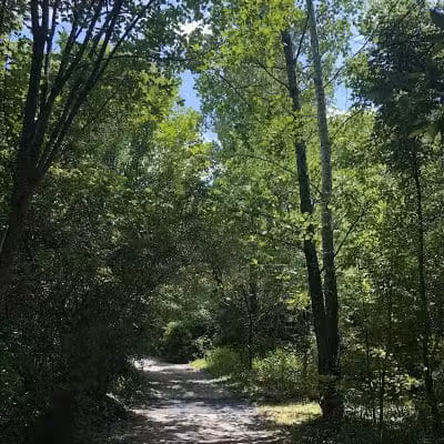 Wexner Community Park - New Albany, OH