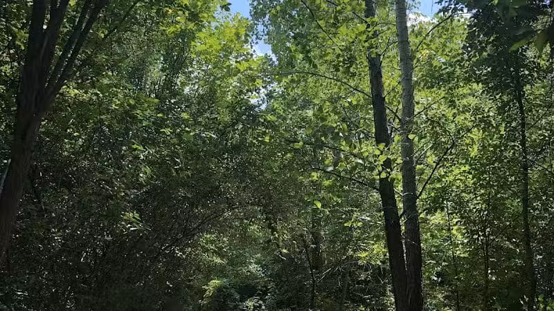 Wexner Community Park - New Albany, OH