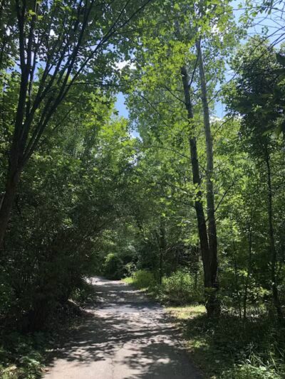 Wexner Community Park - New Albany, OH