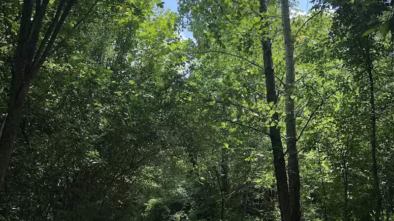 Wexner Community Park - New Albany, OH