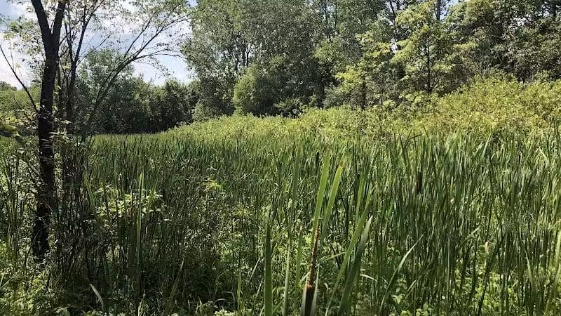Wexner Community Park - New Albany, OH