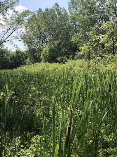 Wexner Community Park - New Albany, OH