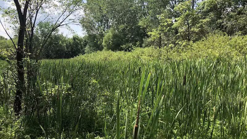 Wexner Community Park - New Albany, OH
