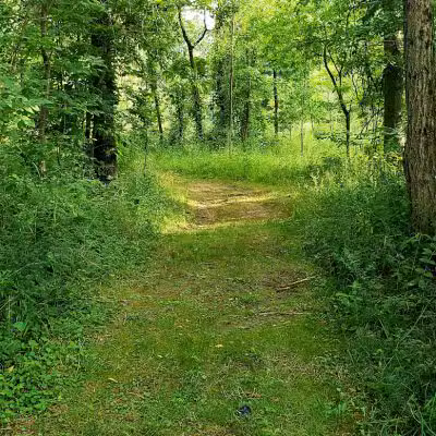 William Resch Park - New Albany, OH