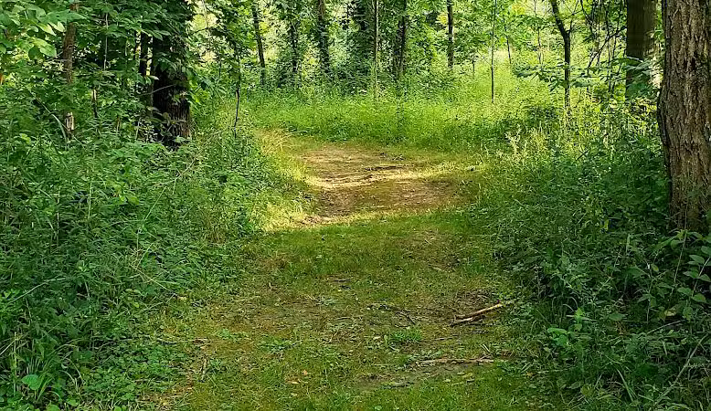 William Resch Park - New Albany, OH