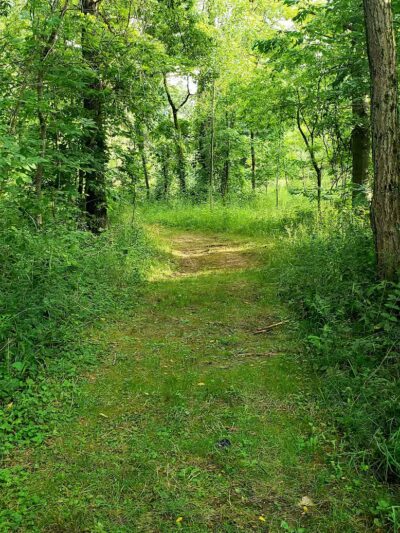 William Resch Park - New Albany, OH