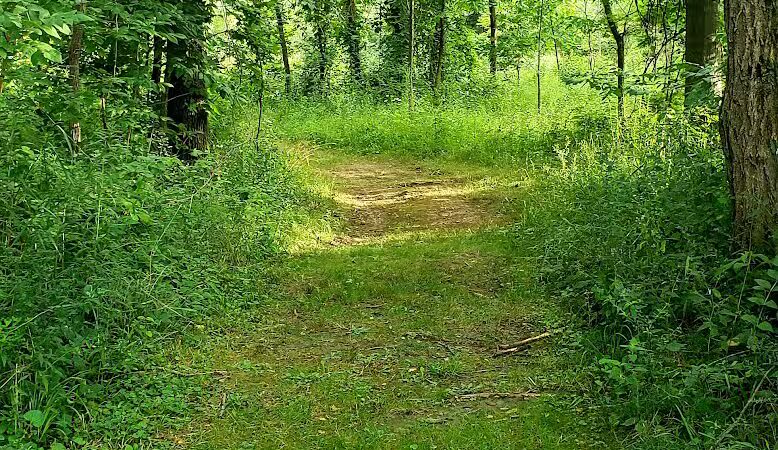 William Resch Park - New Albany, OH