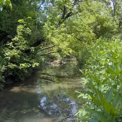 William Resch Park - New Albany, OH