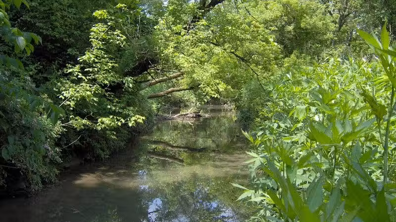 William Resch Park - New Albany, OH