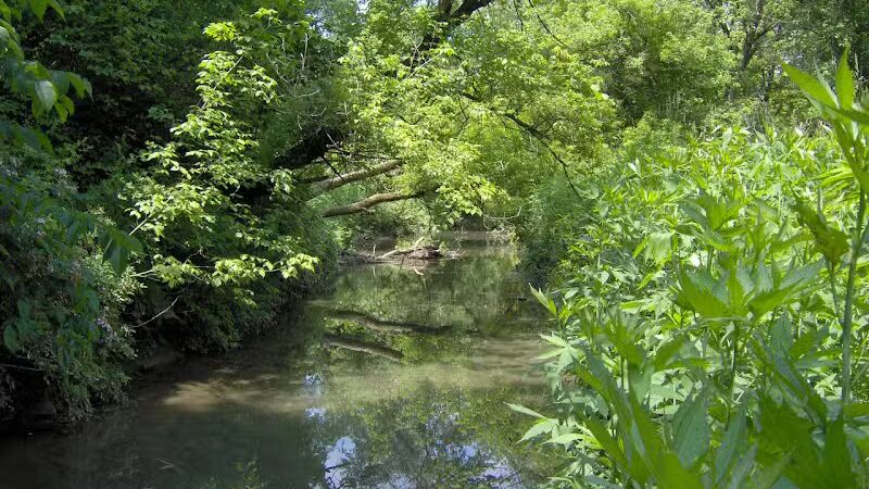 William Resch Park - New Albany, OH