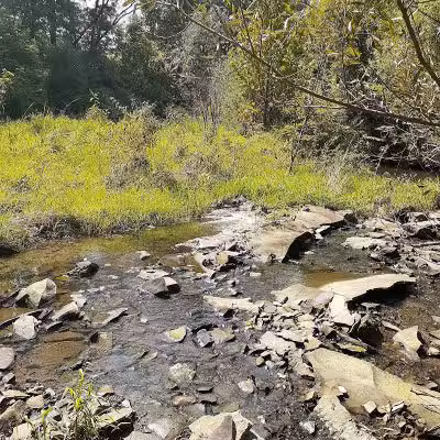 William Resch Park - New Albany, OH