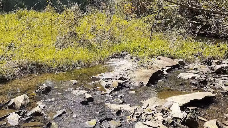 William Resch Park - New Albany, OH