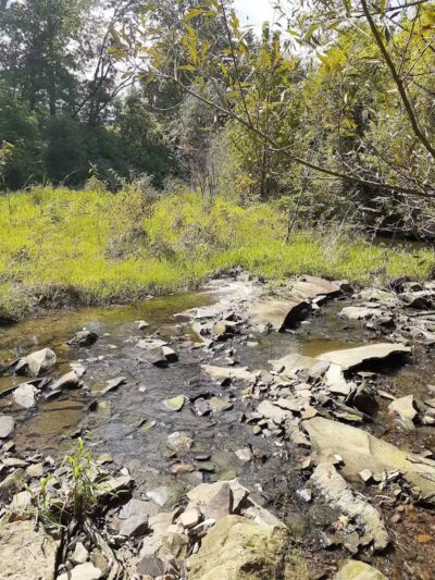 William Resch Park - New Albany, OH