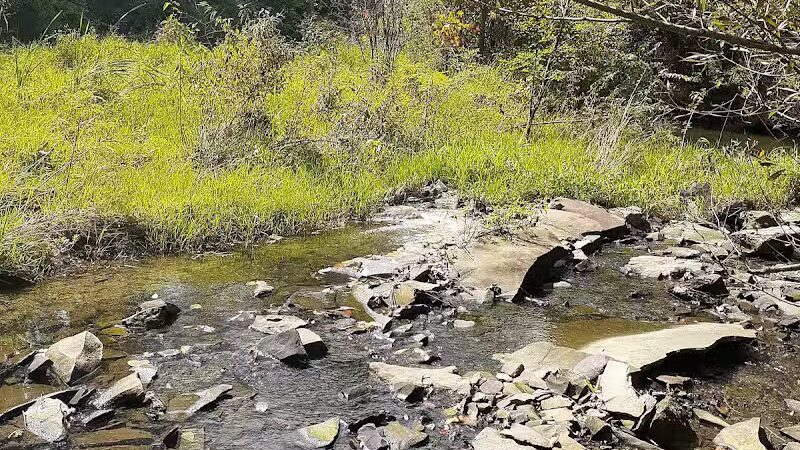 William Resch Park - New Albany, OH