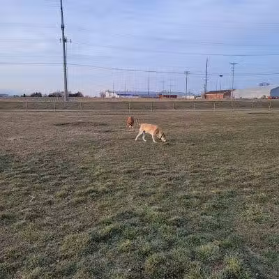 New Bremen Dog Park - New Bremen, OH