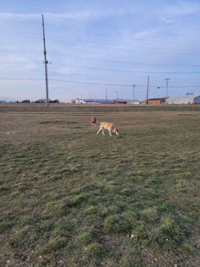 New Bremen Dog Park - New Bremen, OH