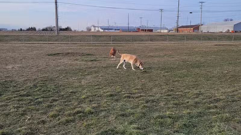 New Bremen Dog Park - New Bremen, OH