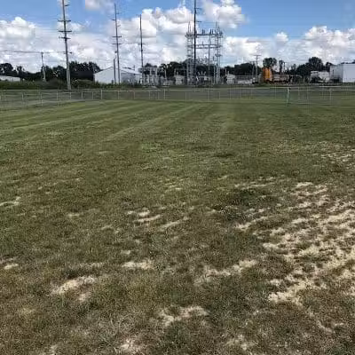 New Bremen Dog Park - New Bremen, OH