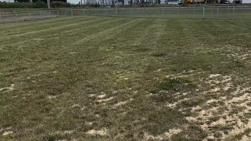 New Bremen Dog Park - New Bremen, OH