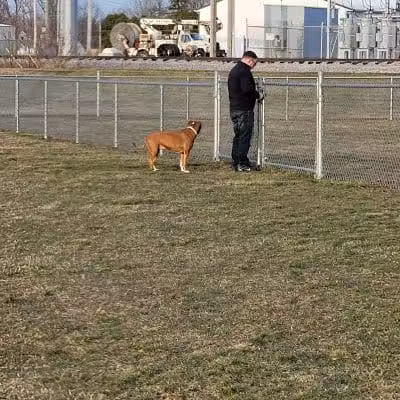 New Bremen Dog Park - New Bremen, OH