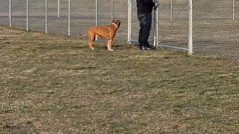 New Bremen Dog Park - New Bremen, OH