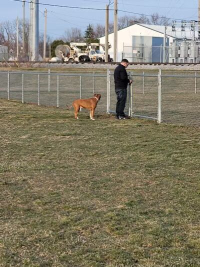 New Bremen Dog Park - New Bremen, OH