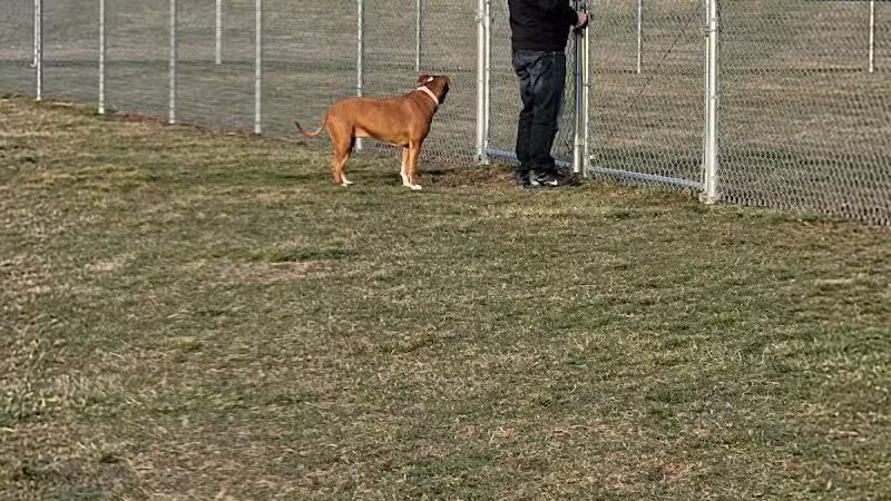 New Bremen Dog Park - New Bremen, OH