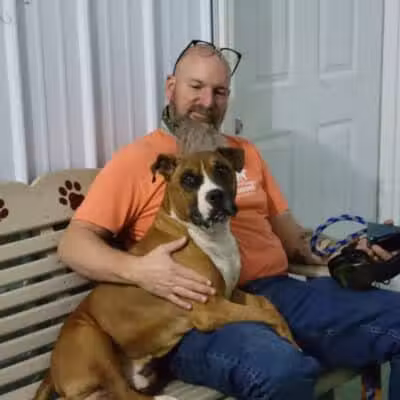 Country Lane Kennel - New Carlisle, OH