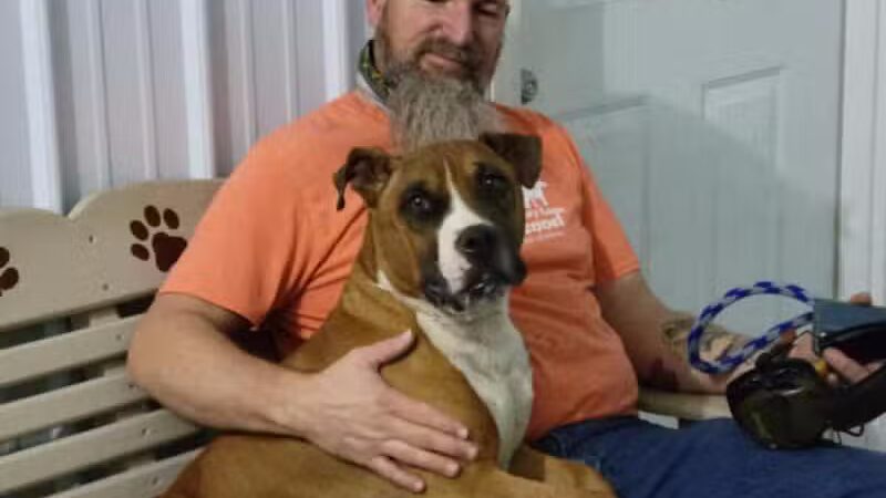 Country Lane Kennel - New Carlisle, OH