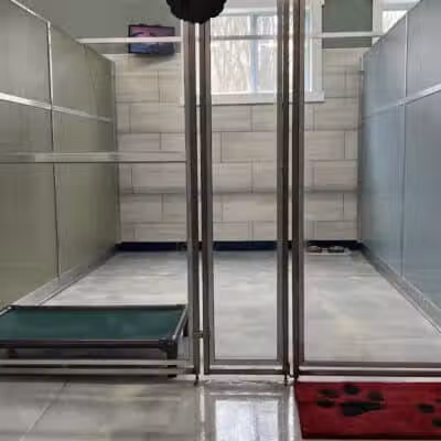 Country Lane Kennel - New Carlisle, OH