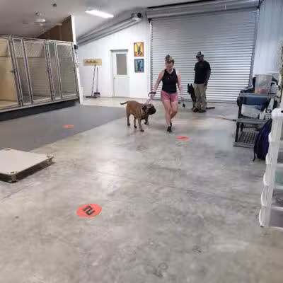 K9 Solutions Center - New Carlisle, OH